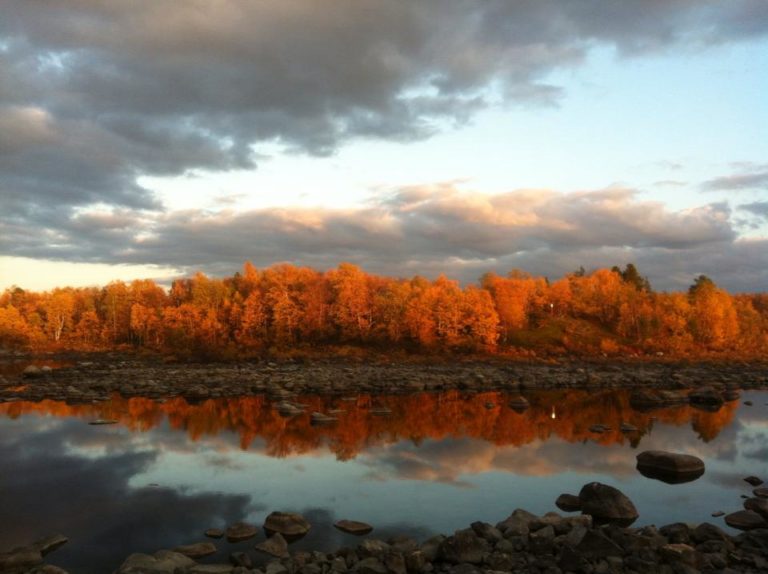 The Pasvik Valley – Visit Kirkenes