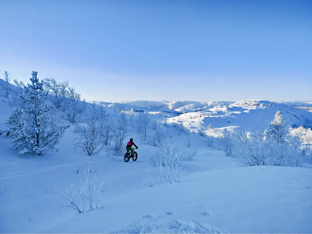 Syklist med rosa sekk sykler på el-fatbike langs en snødekt sti mellom rimfrostdekte furu- og bjørketrær, med utsikt over hvite åser rundt Kirkenes.