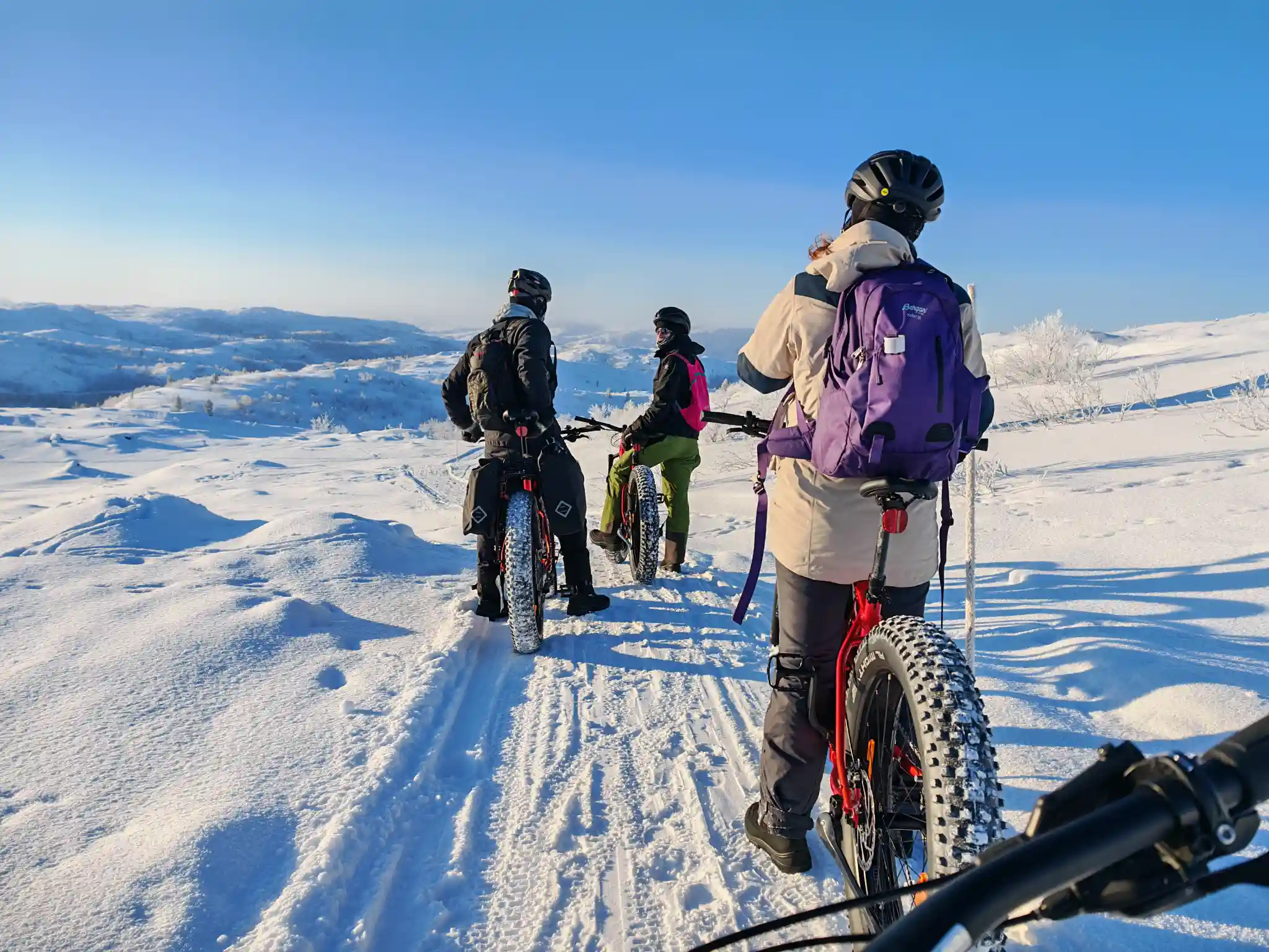 Tre syklister med hjelm stopper med el-fatbiker på en snødekt sti over åpne høydedrag ved Kirkenes, med rimfrostdekte bjørker og klar blå himmel.