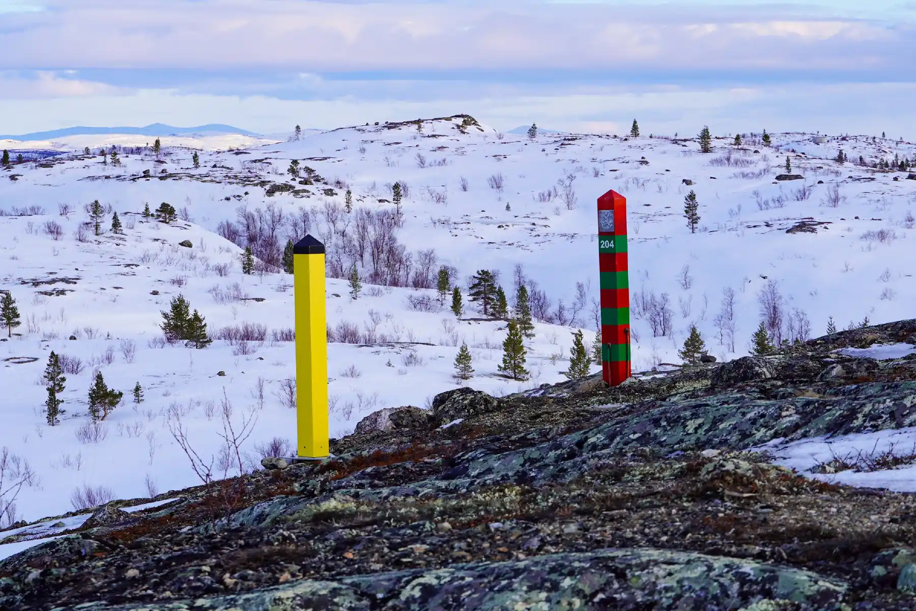 Gul norsk grensestolpe og rød og grønn russisk grensestolpe med nummer 204 ved russergrensa nær Kirkenes, med snødekte åser, spredte furutrær og lavdekte steiner i forgrunnen.