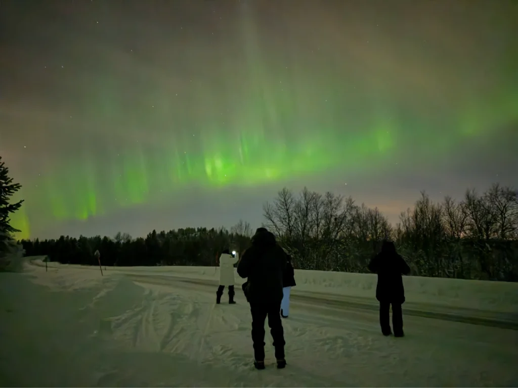 Four guests stand on a snowy road watching and photographing green Northern Lights over the forest near Kirkenes on a winter evening.