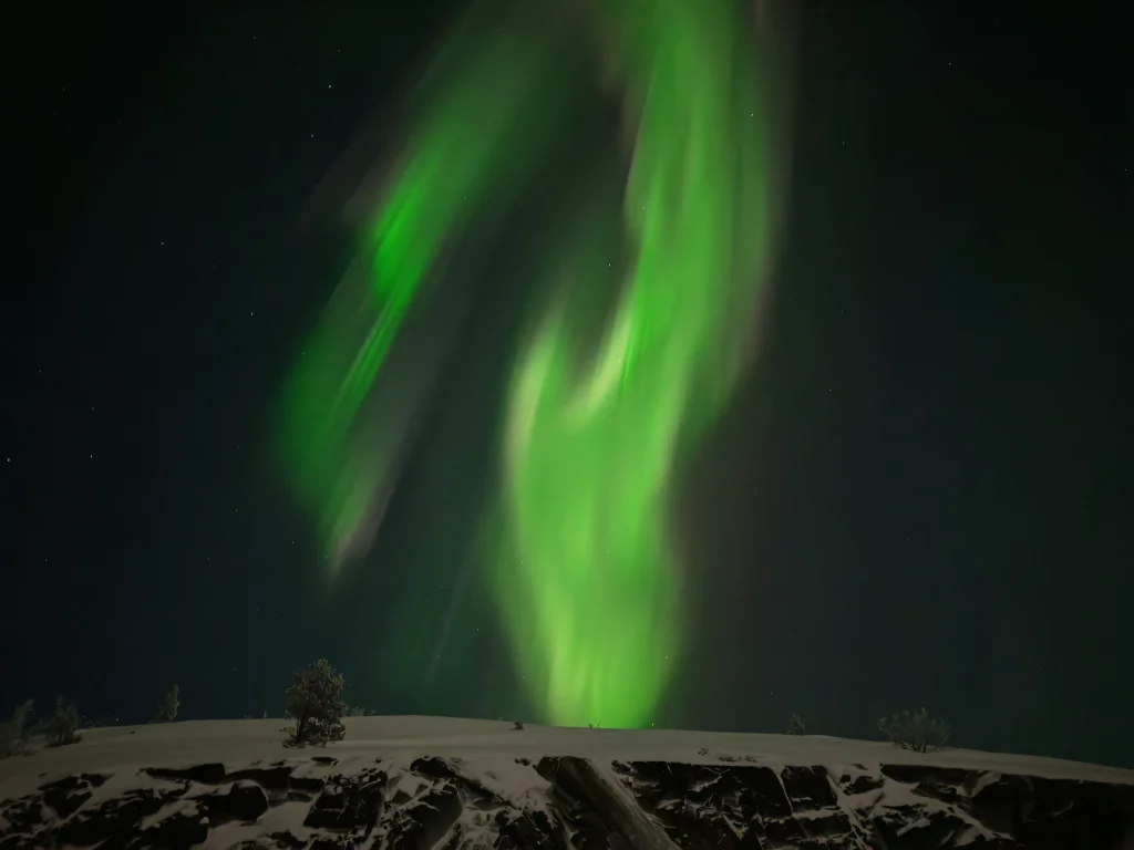 Bright green Northern Lights rise above a snowy rock ridge with a few small pine trees near Kirkenes, against a dark starry sky.