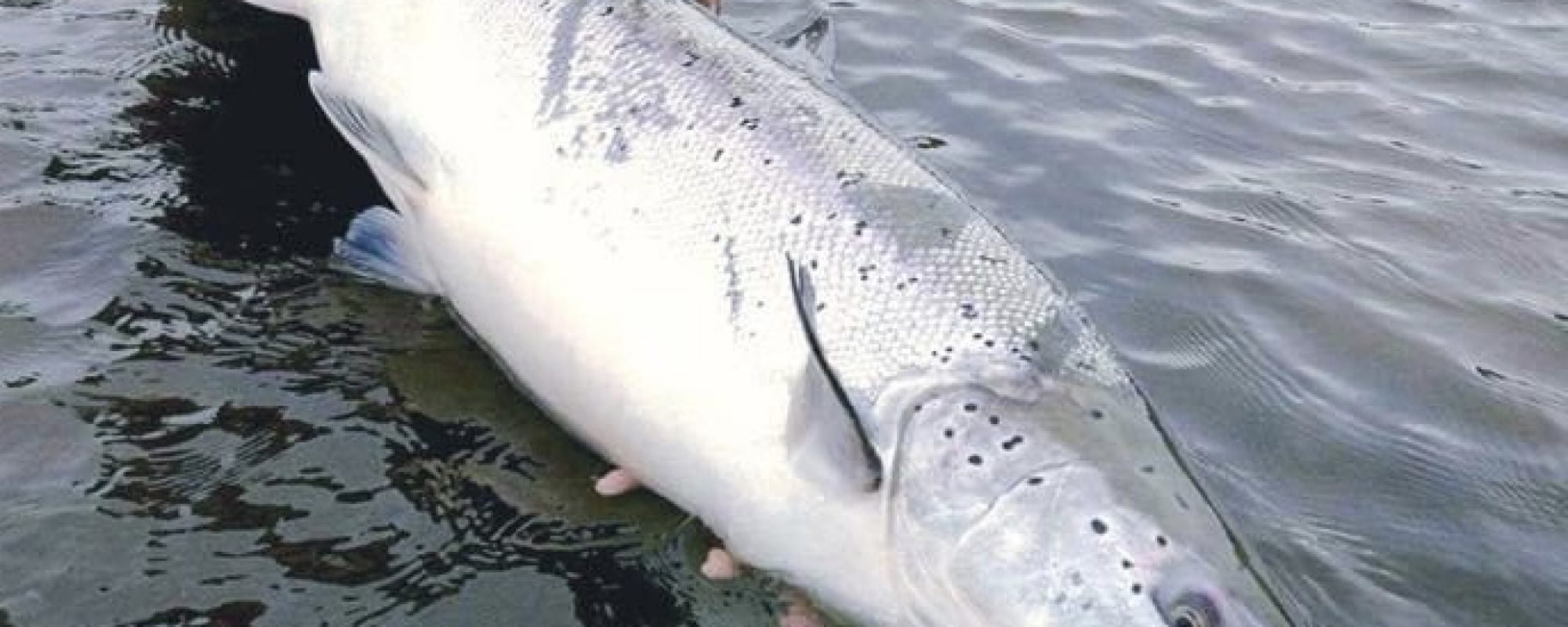 0D9D9433-EED1-4C96-A43E-154C78262A23