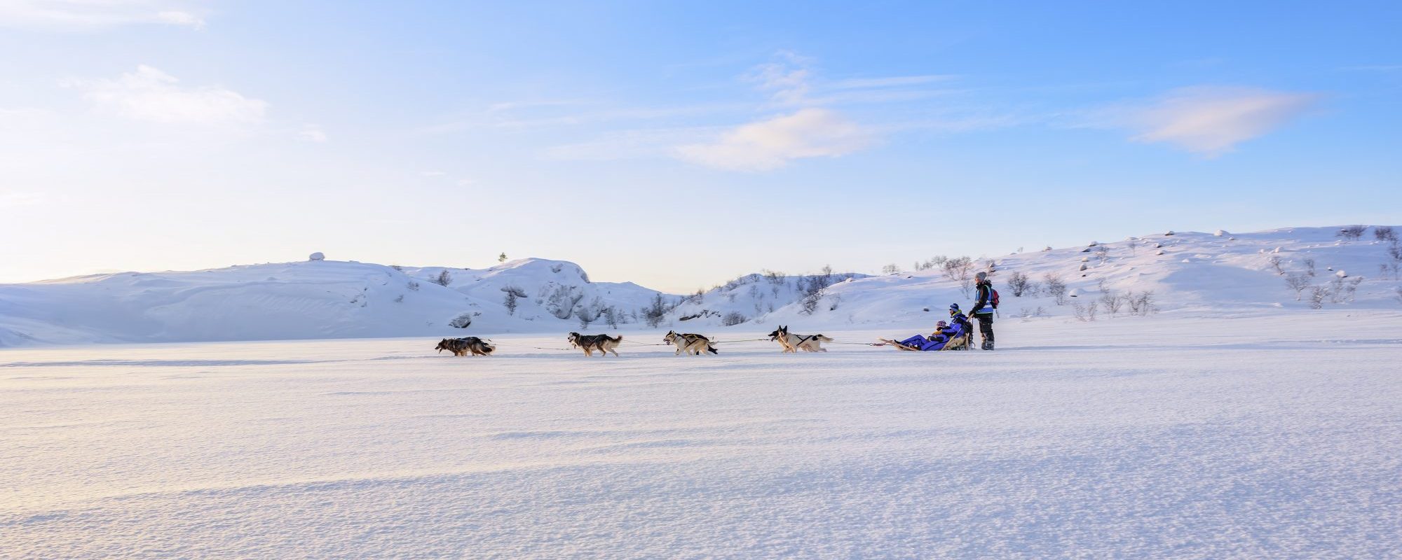 3_TLN_1730_Facebook__www_No_Logo_No_Frame-–-Kopi