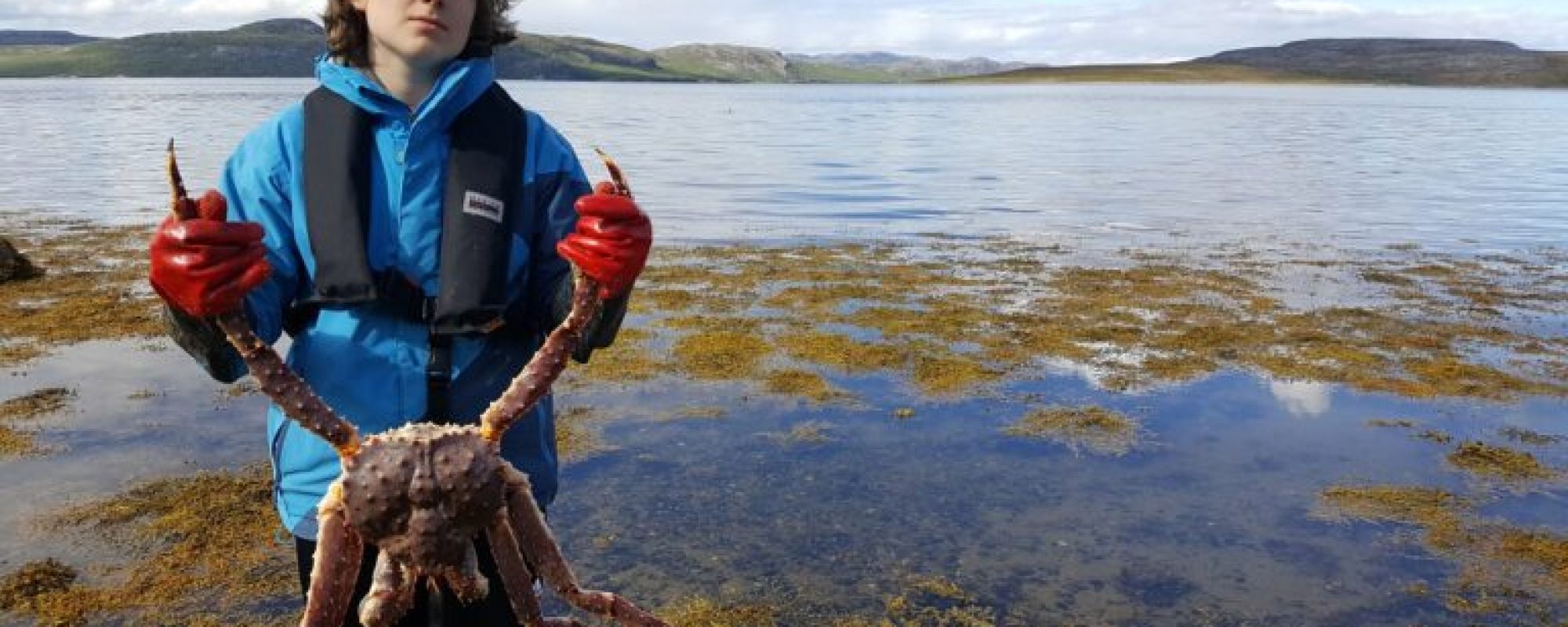 Gaute-krabbe-01a-1-768x432