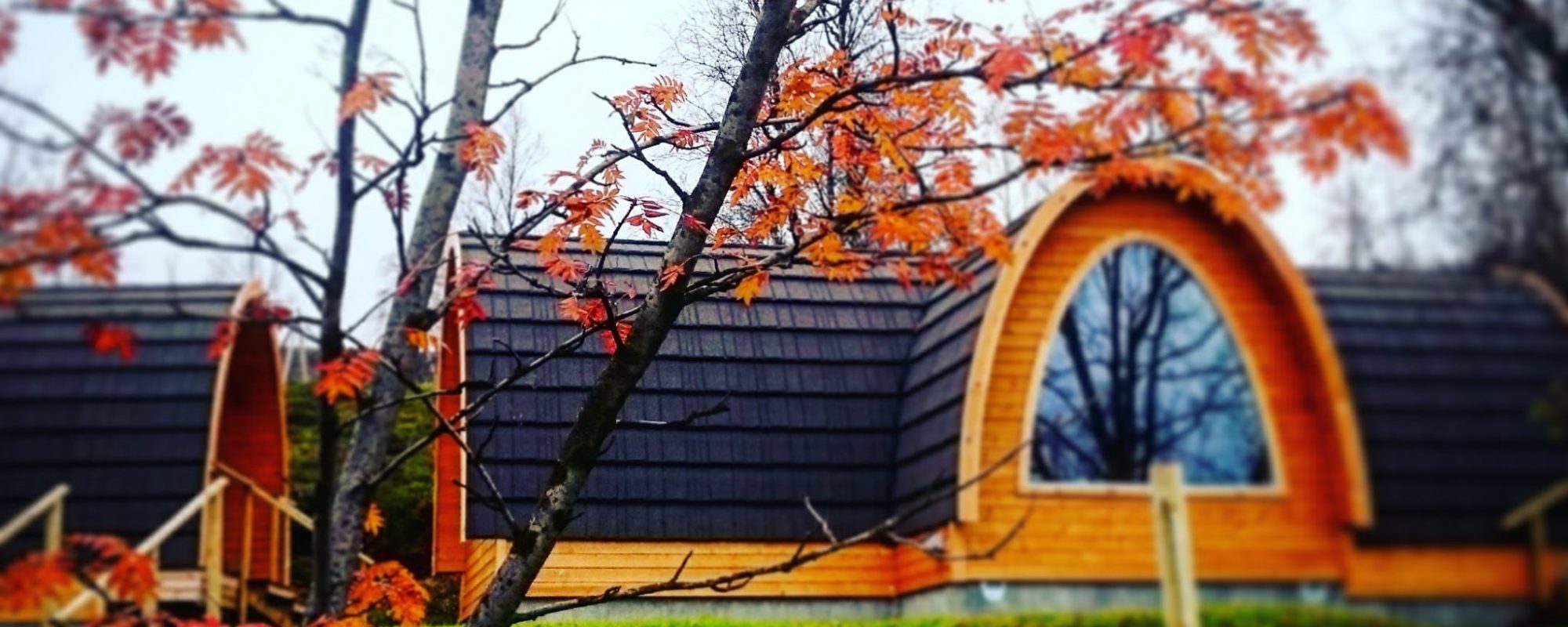 IMG_20160922_1514051