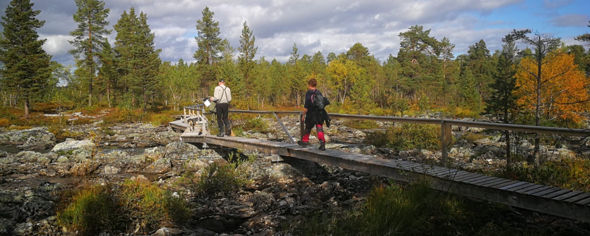 IMG_20200905_121810_resized_20200925_115214553