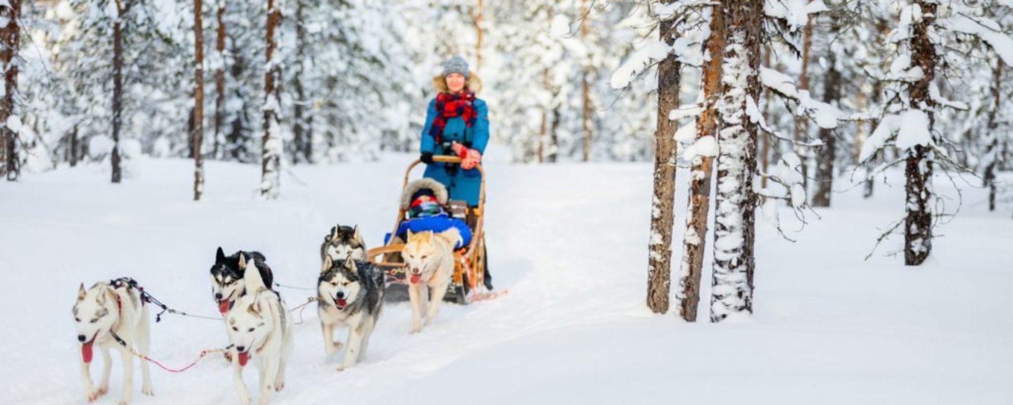 shutterstock_493161724-e1519650464156-1024x682