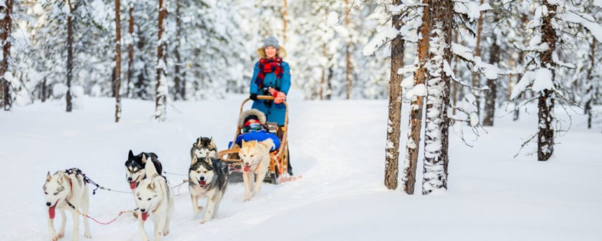 shutterstock_493161724-e1519650464156-1024x682