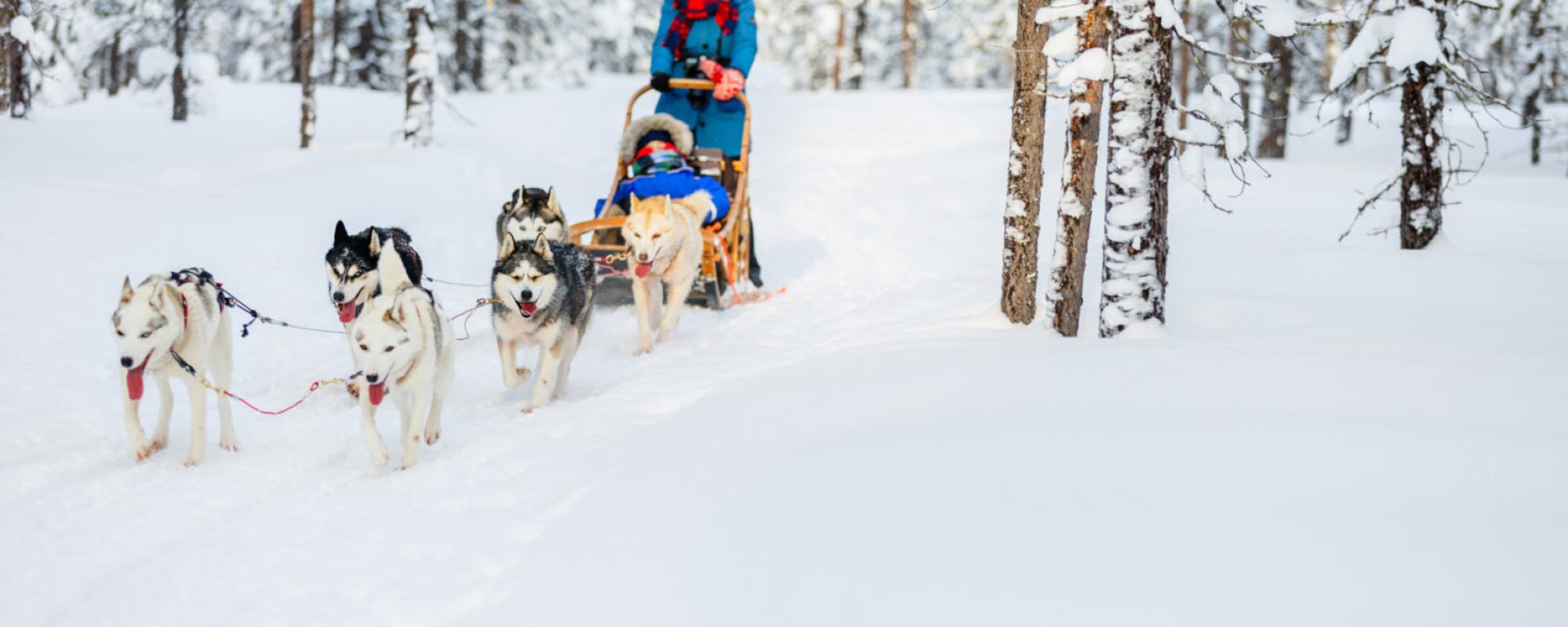 shutterstock_493161724